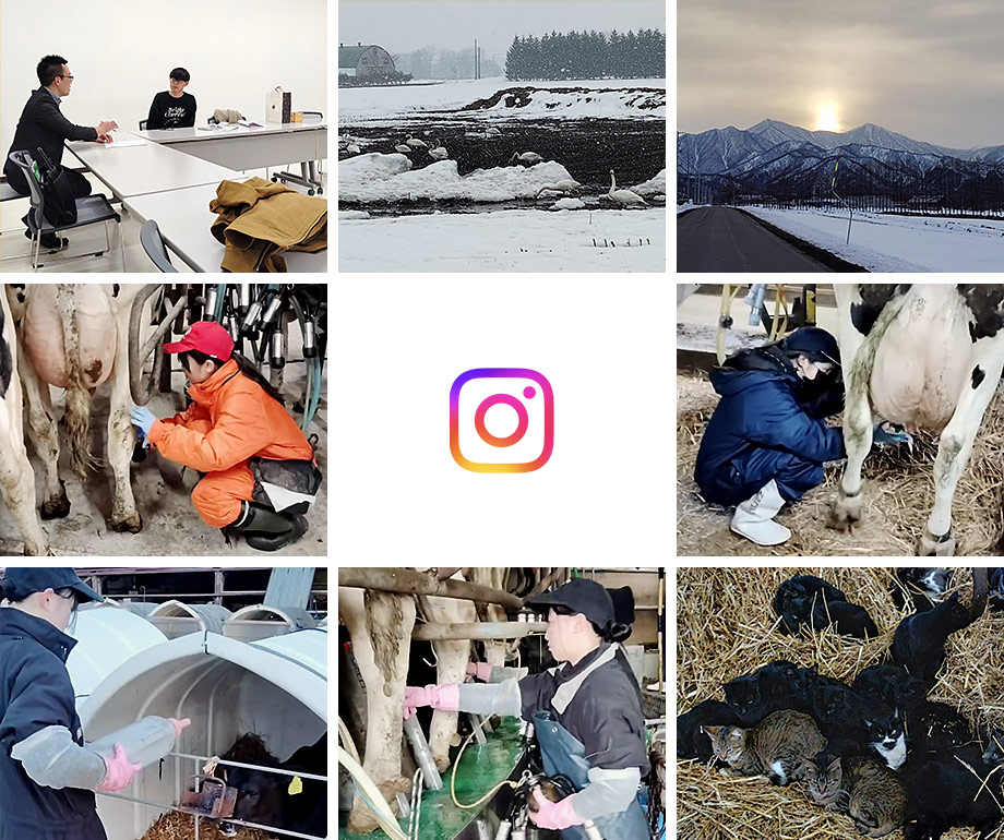 芽室町酪農ヘルパー組合インスタグラム